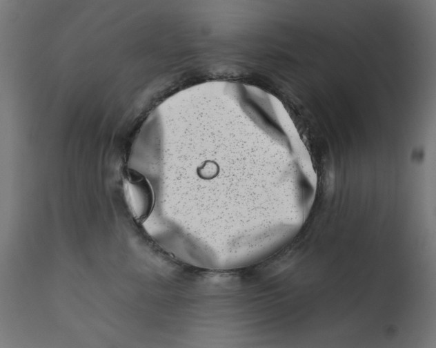 X0000113200619200910081253