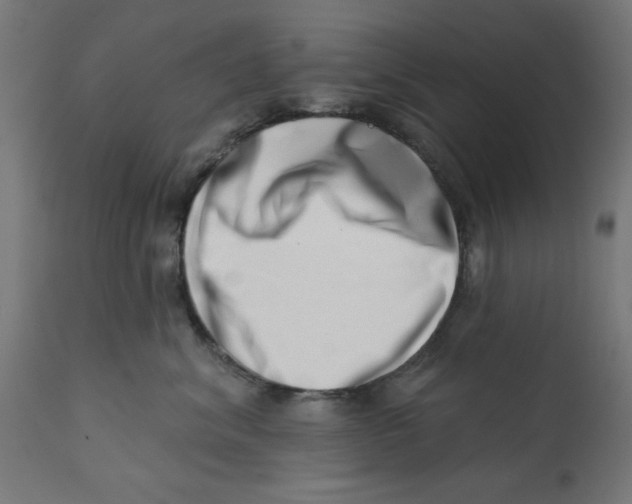X0000113200620200910081253