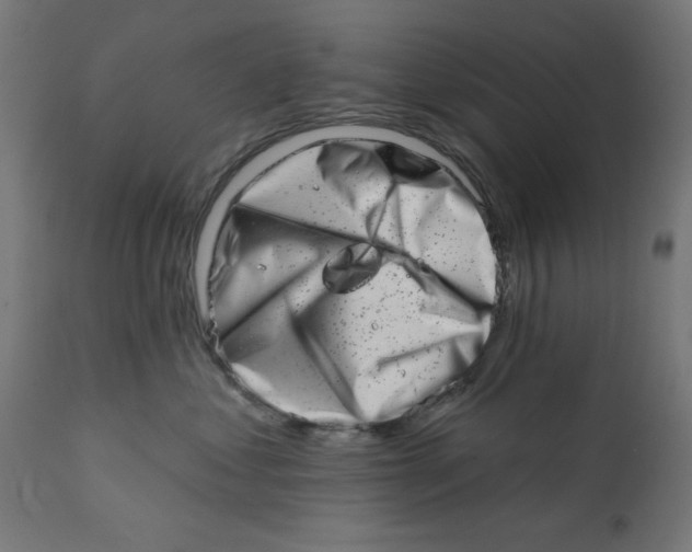 X0000113200621200910081253