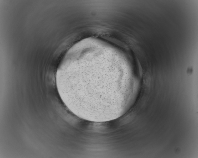X0000113200622200910081253