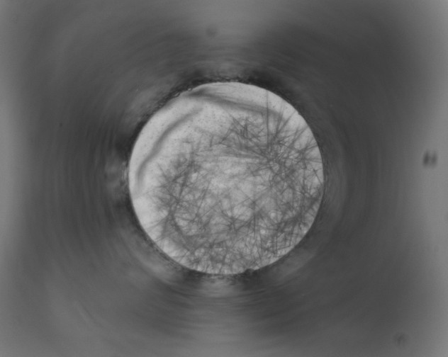 X0000113200624200910081253