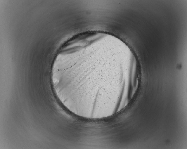 X0000113200625200910081252