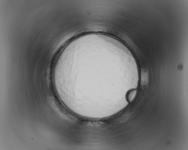 X0000113200627200910081252
