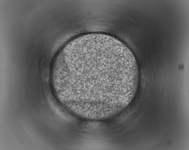 X0000113200631200910081252