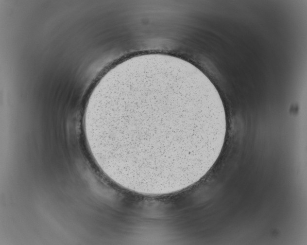 X0000113200632200910081252