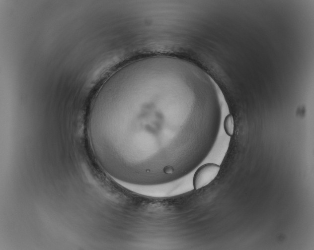 X0000113200635200910081252