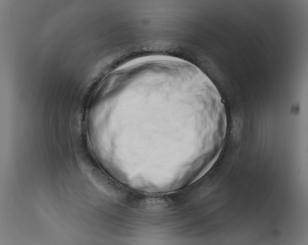 X0000113200636200910081252