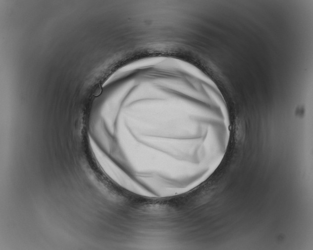 X0000113200637200910081252