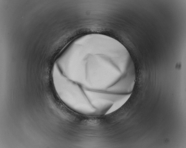 X0000113200639200910081253