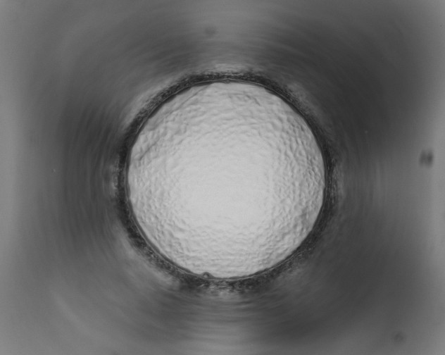 X0000113200640200910081253