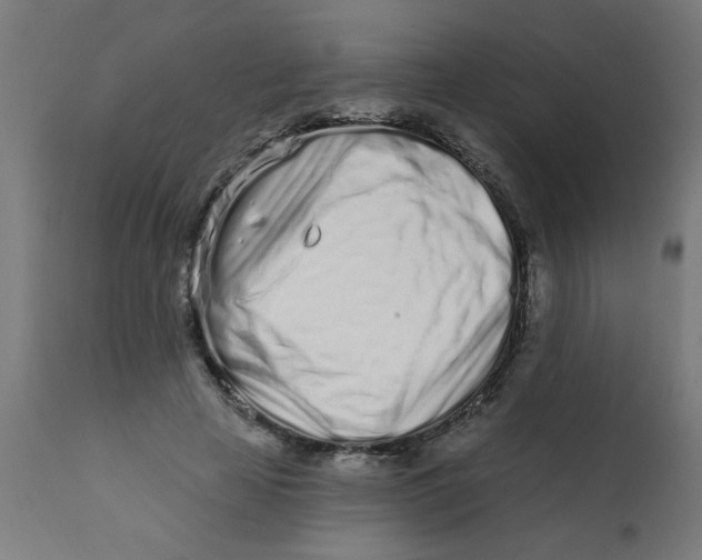 X0000113200641200910081253