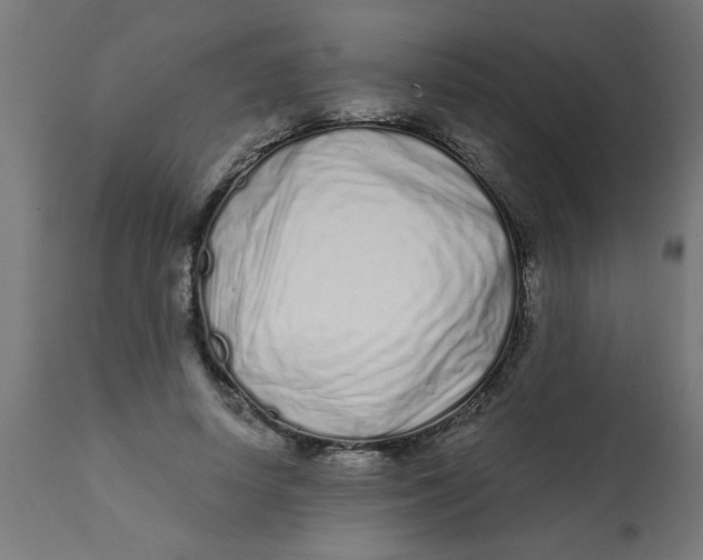 X0000113200642200910081253