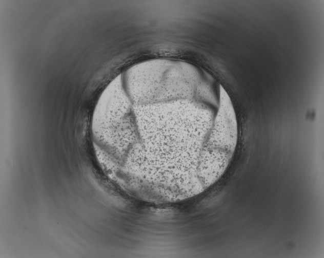 X0000113200645200910081253