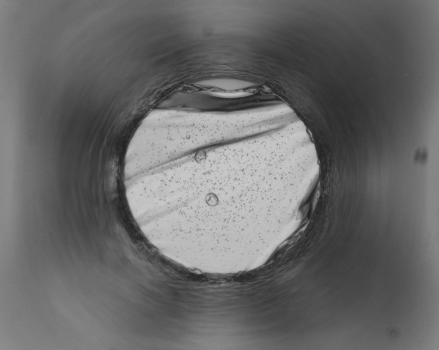 X0000113200646200910081253