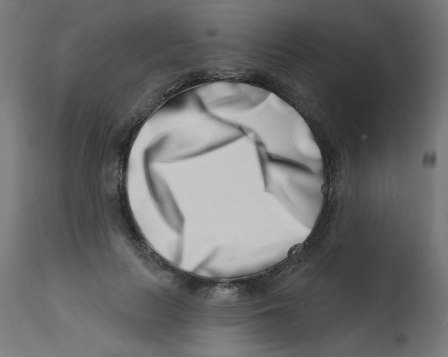 X0000113200647200910081253