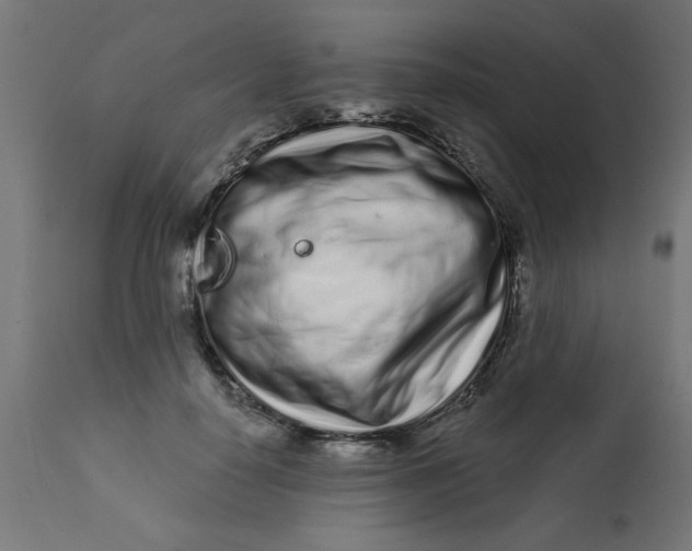 X0000113200650200910081253