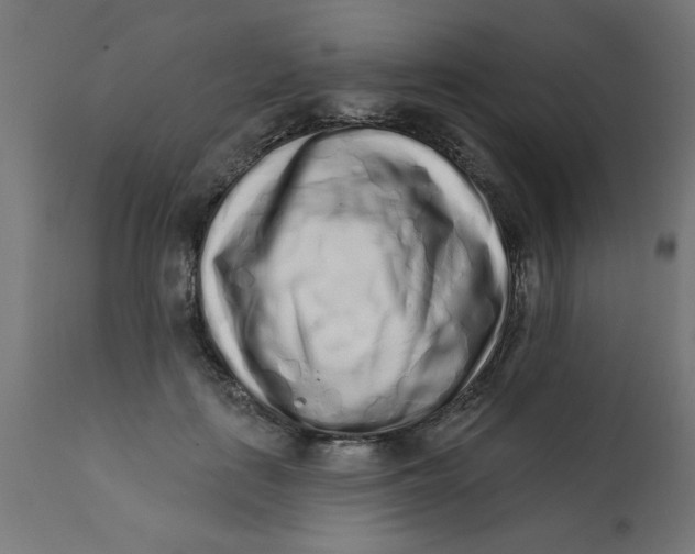 X0000113200651200910081253