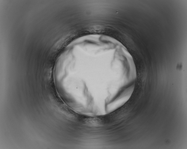 X0000113200652200910081253