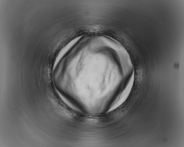 X0000113200653200910081253