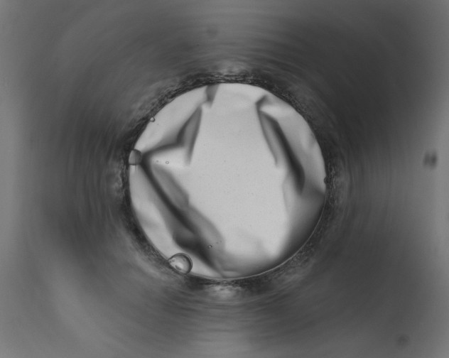 X0000113200654200910081253