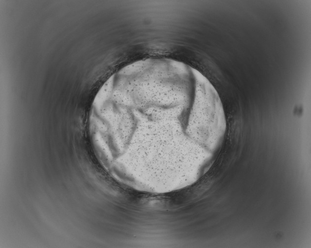 X0000113200655200910081253
