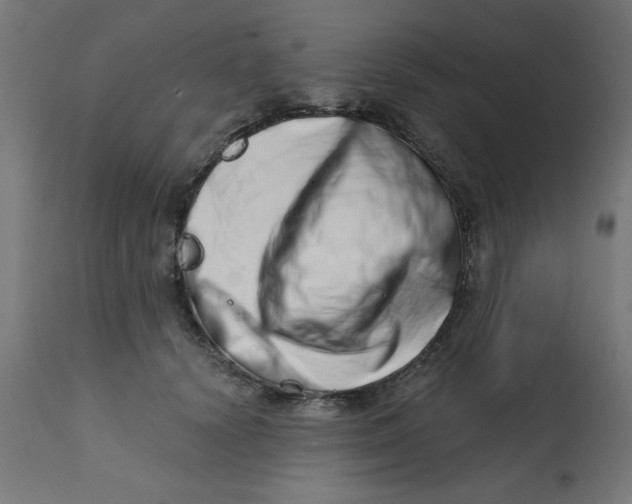 X0000113200656200910081253