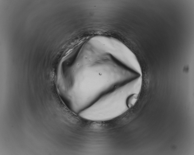X0000113200657200910081253