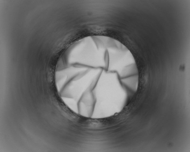 X0000113200658200910081253