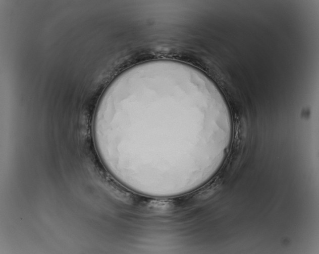 X0000113200659200910081253