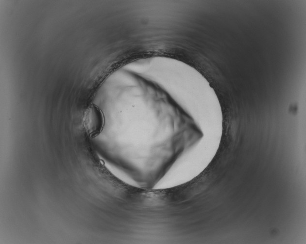 X0000113200660200910081253