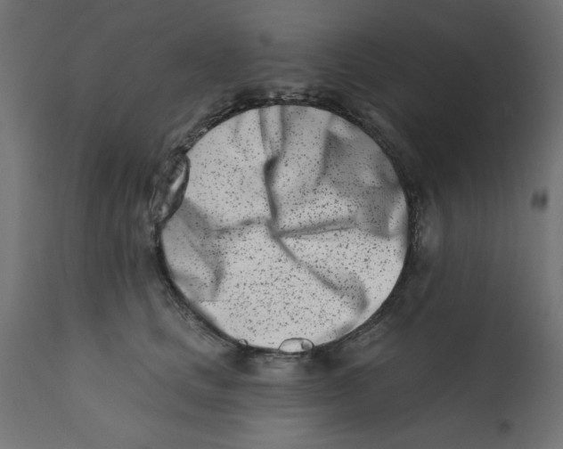 X0000113200661200910081253