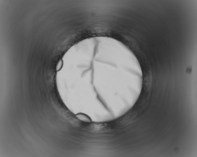 X0000113200662200910081253