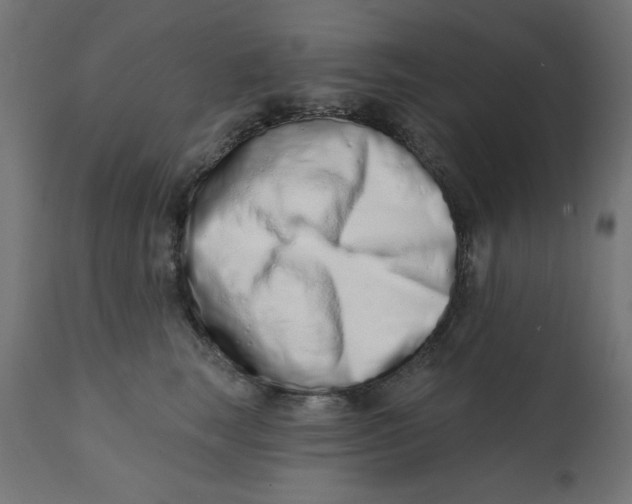 X0000113200663200910081253