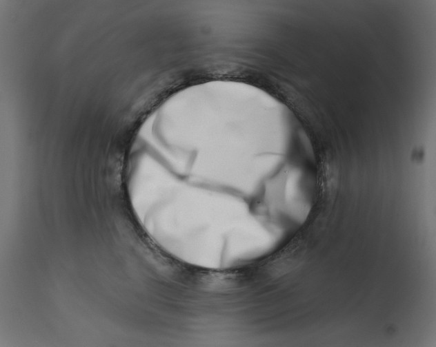 X0000113200664200910081253