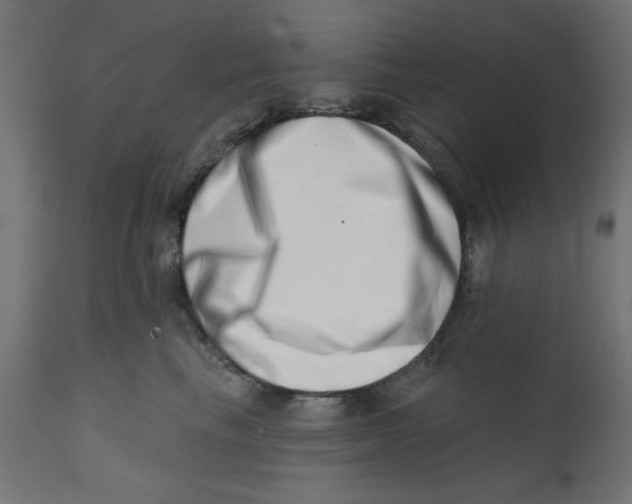 X0000113200665200910081253