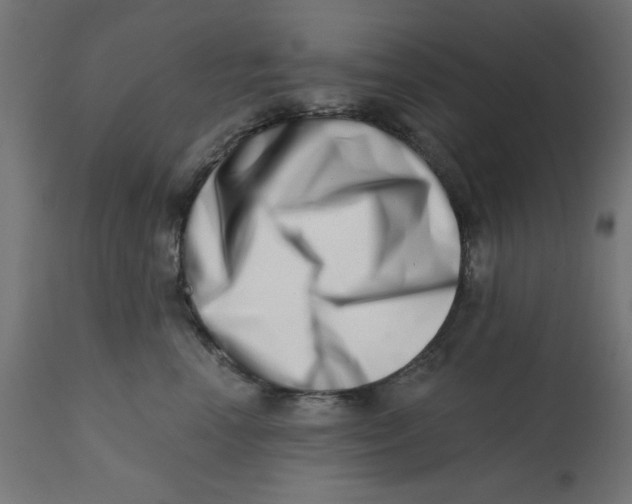 X0000113200666200910081253