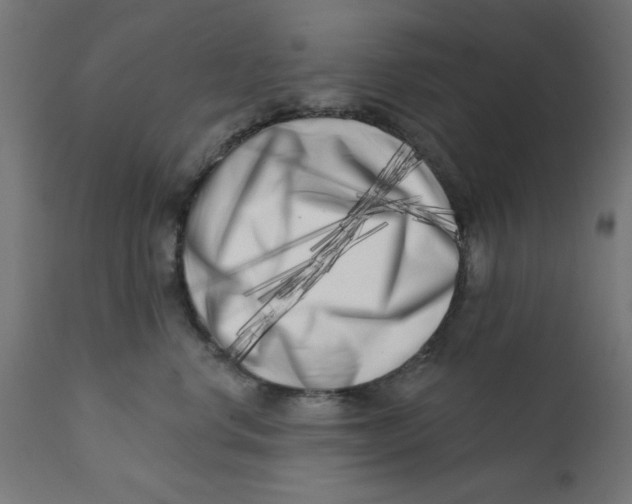 X0000113200668200910081253