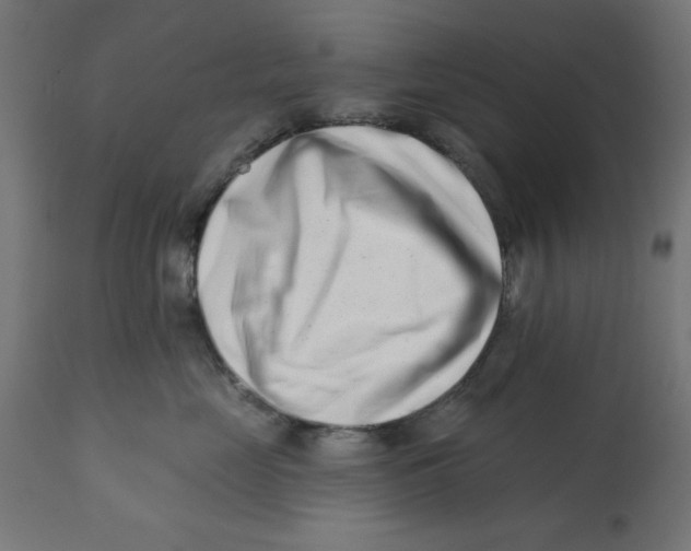 X0000113200669200910081253