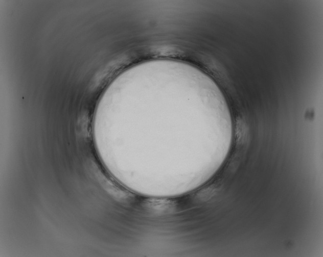 X0000113200670200910081253