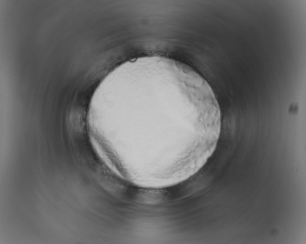 X0000113200671200910081253