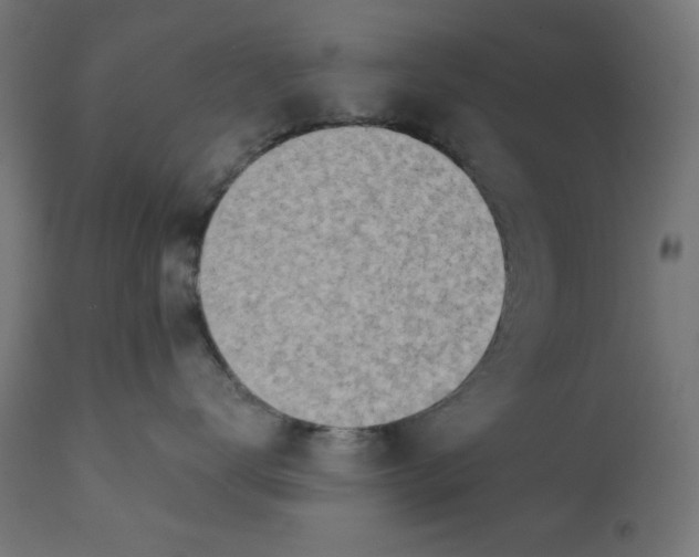 X0000113200672200910081253