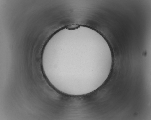 X0000113200673200910081252