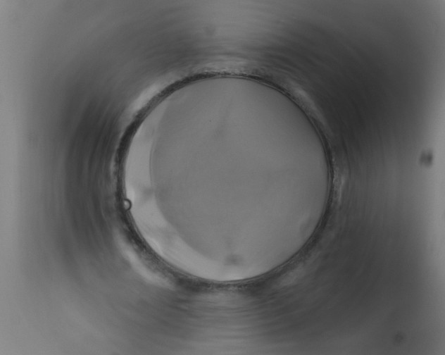 X0000113200674200910081252