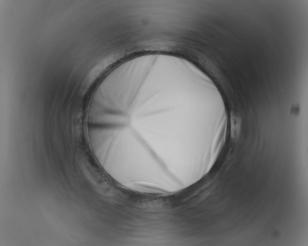 X0000113200675200910081252