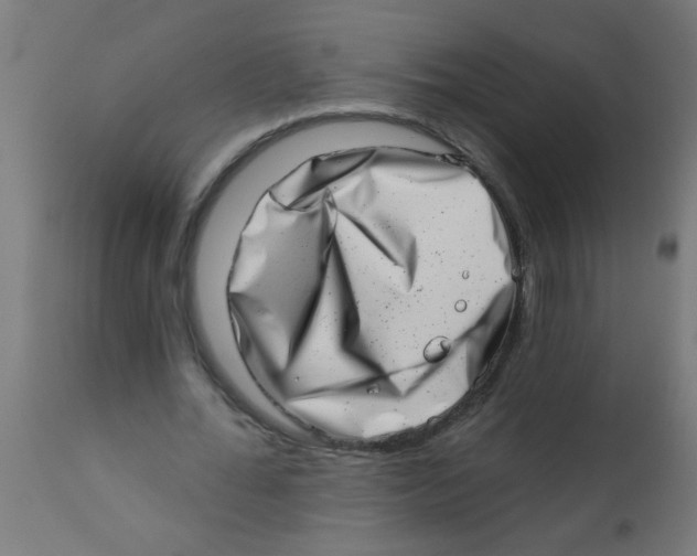 X0000113200676200910081252