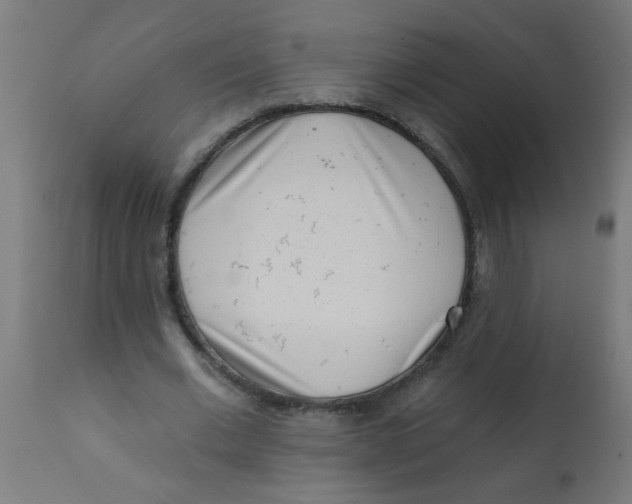X0000113200677200910081252