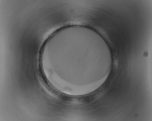 X0000113200678200910081252