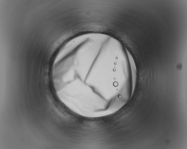 X0000113200679200910081252