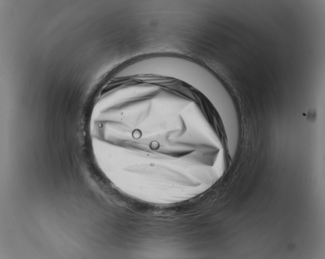 X0000113200680200910081252