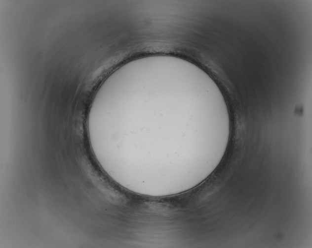 X0000113200681200910081252